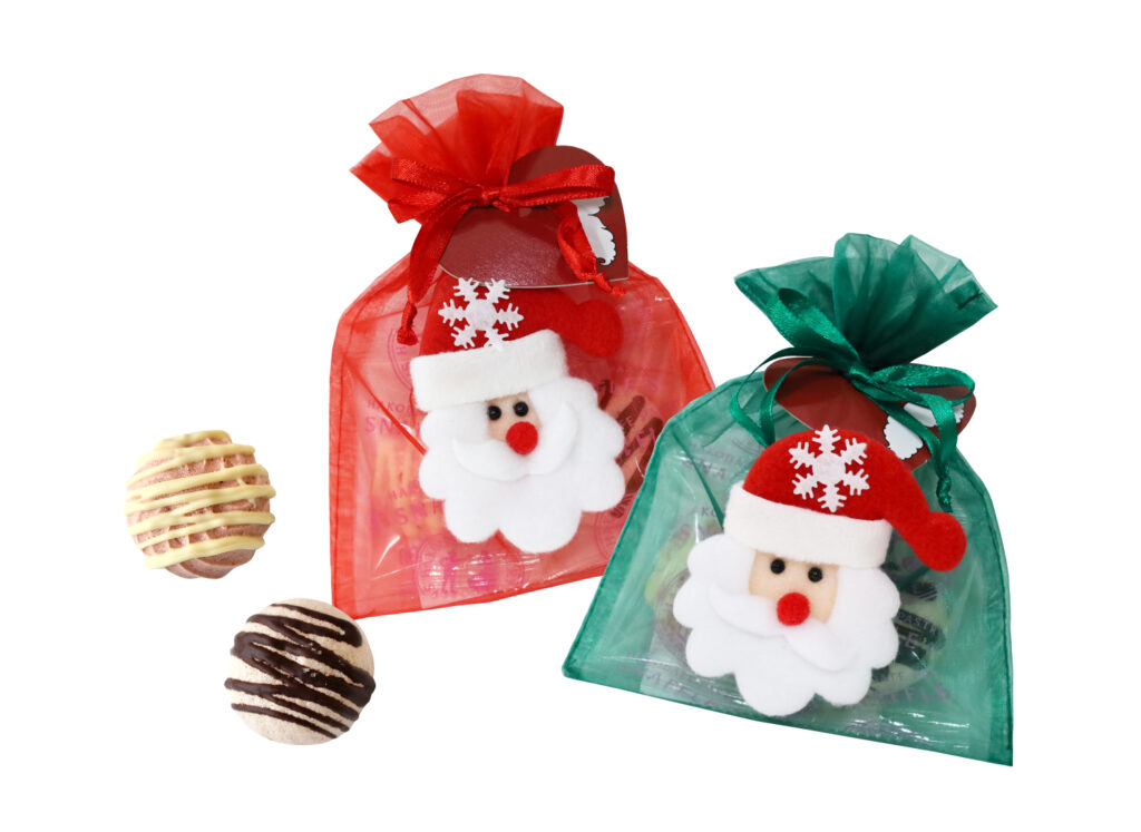 ＜完売いたしました＞サンタオーガンジーポーチ